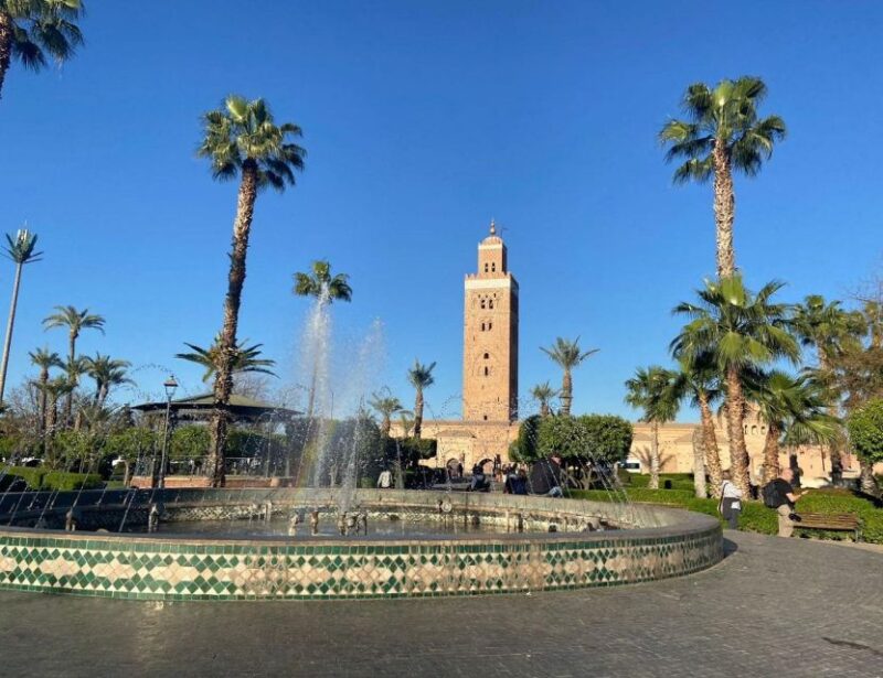 Marrakech: Half Day Walking Tour With a Local Guide - Customer Feedback