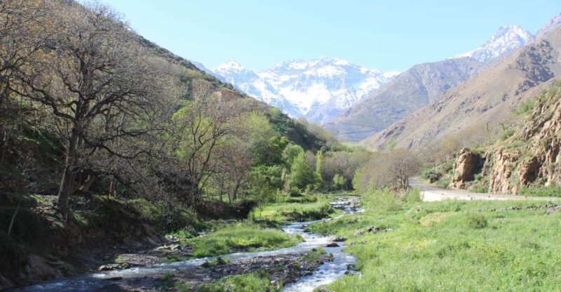 Marrakech: High Atlas Mountains and Agafay Desert Day Tour - Culinary Experience