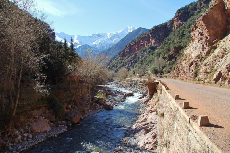 Marrakech: High Atlas Mountains Day-Trip - How to Book