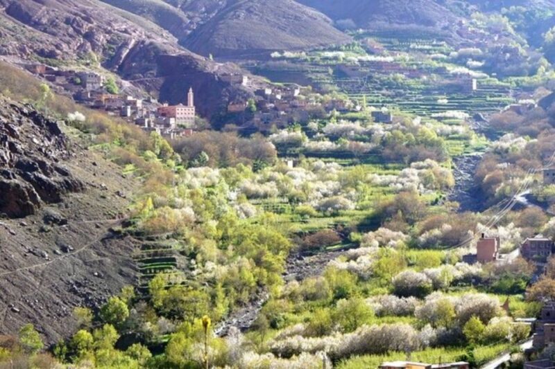Marrakech: High Atlas Mountains, Valleys, & Waterfalls Tour - Transportation and Amenities