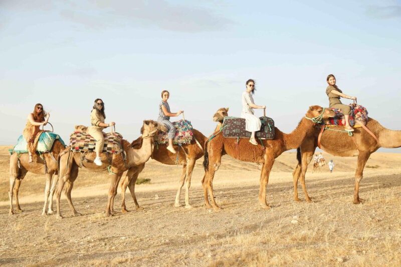 Marrakech: High Atlas Mountains, Valleys, & Waterfalls Tour - Activities Offered