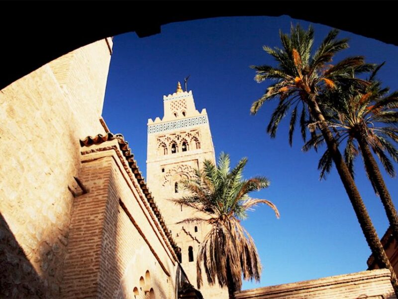 Marrakech: Historical Discovery Tour - Guide and Language Options