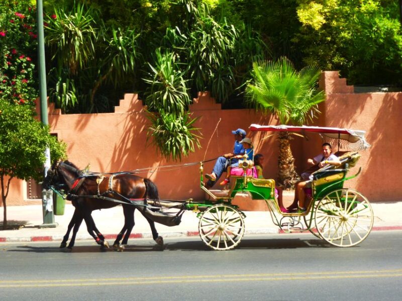Marrakech: Horse-Drawn Carriage Tour - Itinerary Highlights