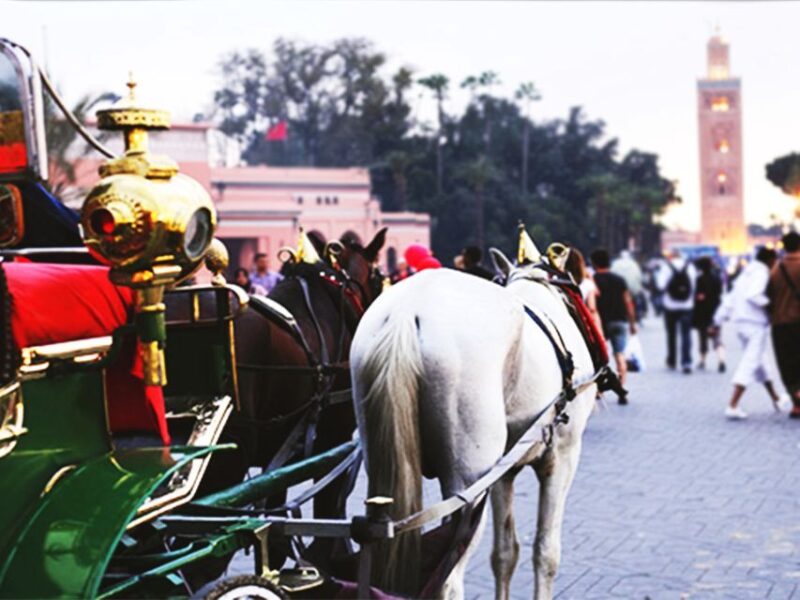 Marrakech: Horse-Drawn Carriage Tour - Tour Details