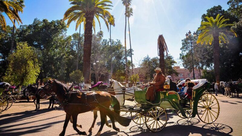 Marrakech: Horse-Drawn Carriage Tour - Pickup and Transfers