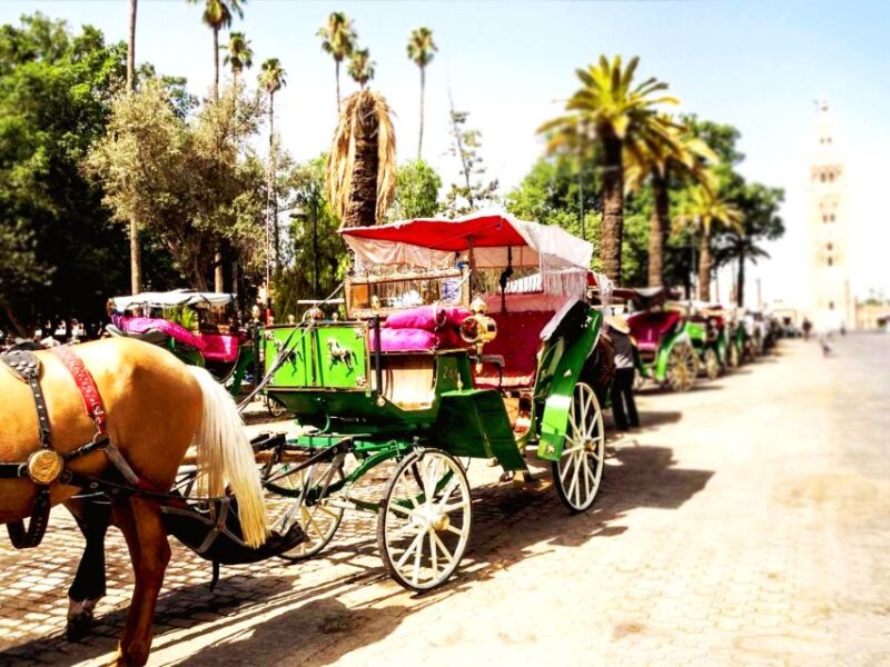 Marrakech: Horse-Drawn Carriage Tour - Language Options