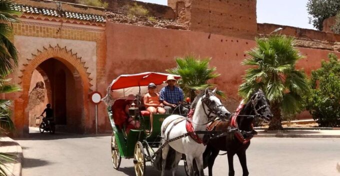 Marrakech: Horse-Drawn Carriage Tour - Customer Feedback