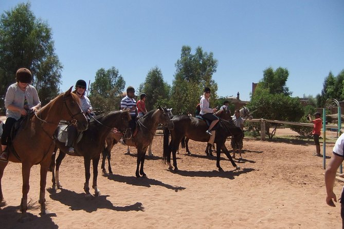 Marrakech Horse Riding - Booking Options