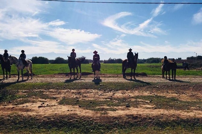 Marrakech Horse Riding - Horse Care and Ride Experience