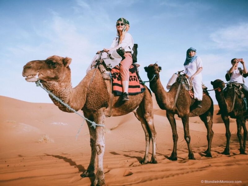 Marrakech: Lunch, Camel Ride, Transport, Atlas Mountain Trip - Important Details