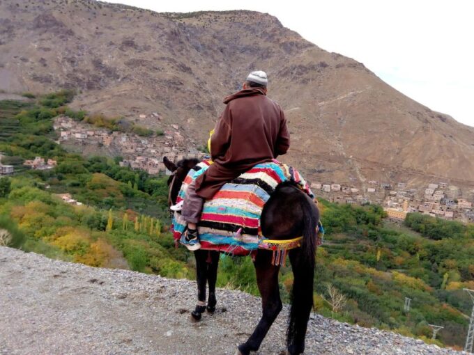 Marrakech: Lunch, Camel Ride, Transport, Atlas Mountain Trip - Highlights of the Trip