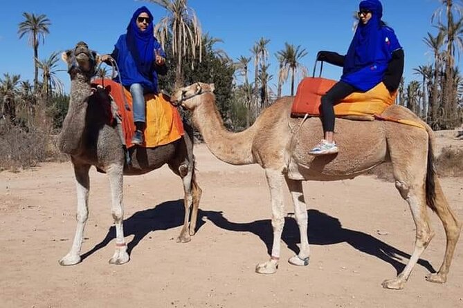Marrakech Luxery Sunset Camel Ride - Cancellation Policy