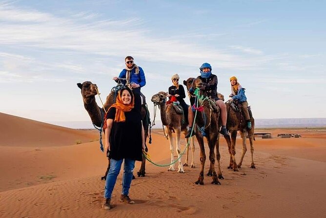 Marrakech Luxery Sunset Camel Ride - Customer Reviews