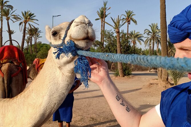 Marrakech Luxery Sunset Camel Ride - Tips for Your Camel Ride
