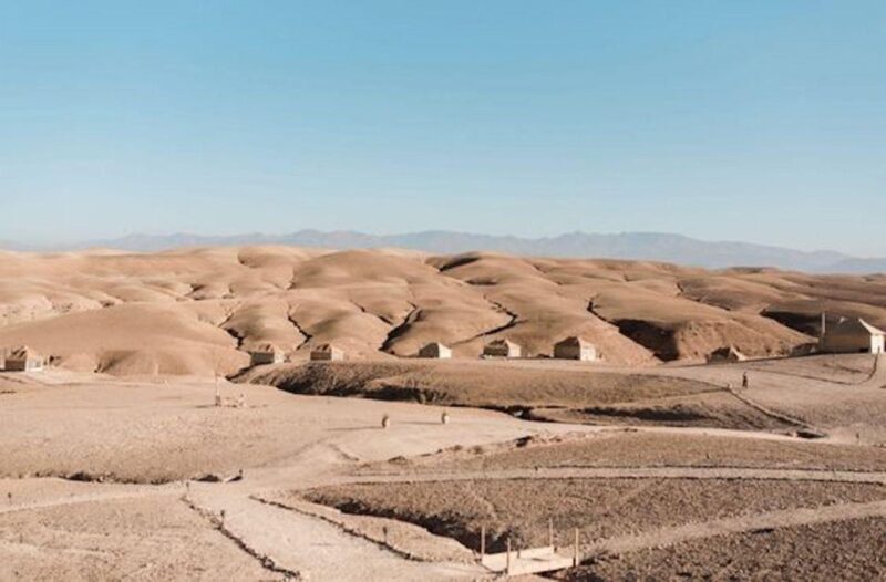 Marrakech Majesty Dining With Camel Ride in Agafay Desert - Highlights and Activities