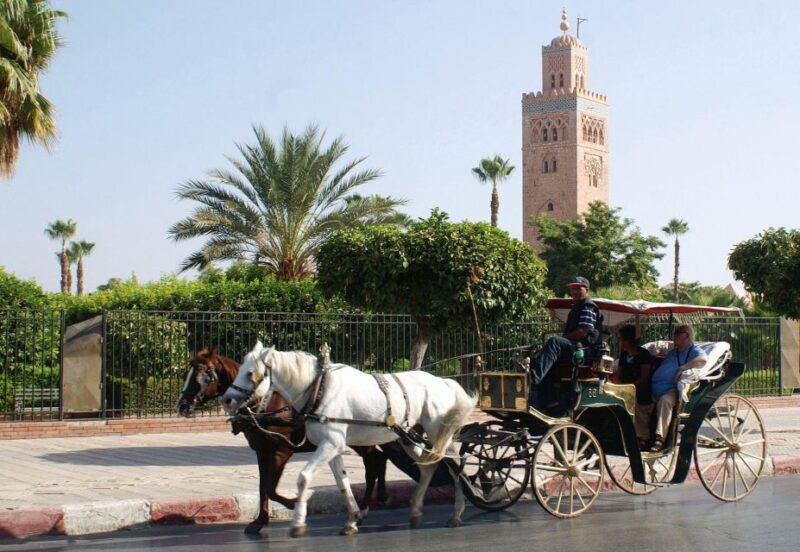 Marrakech: Majorelle & Menara Gardens Tour & Carriage Ride - Key Points