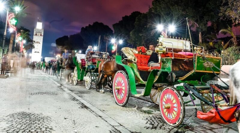 Marrakech: Majorelle & Menara Gardens Tour & Carriage Ride - Itinerary and Experience
