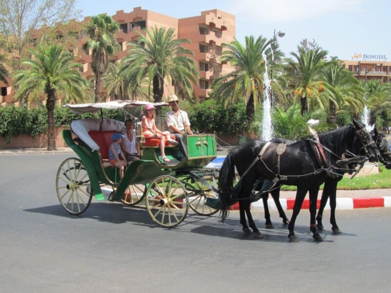 Marrakech: Majorelle & Menara Gardens Tour & Carriage Ride - Transportation and Accessibility
