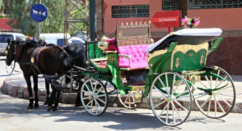 Marrakech: Majorelle & Menara Gardens Tour & Carriage Ride - Activities