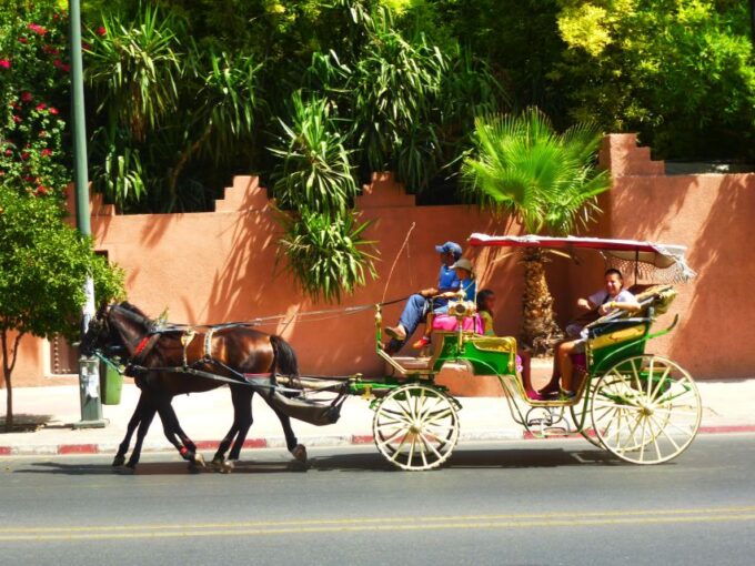 Marrakech: Majorelle & Menara Gardens Tour & Carriage Ride - Main Stops