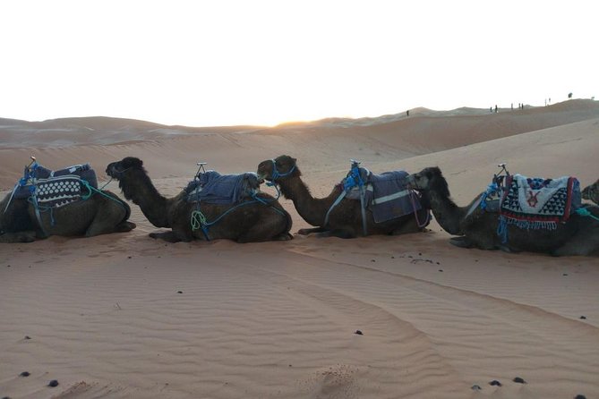 Marrakech - Merzouga Desert - Marrakech 4 Days Tour - Accommodations