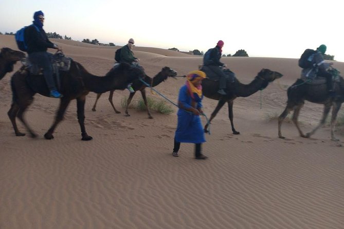Marrakech - Merzouga Desert - Marrakech 4 Days Tour - Testimonials