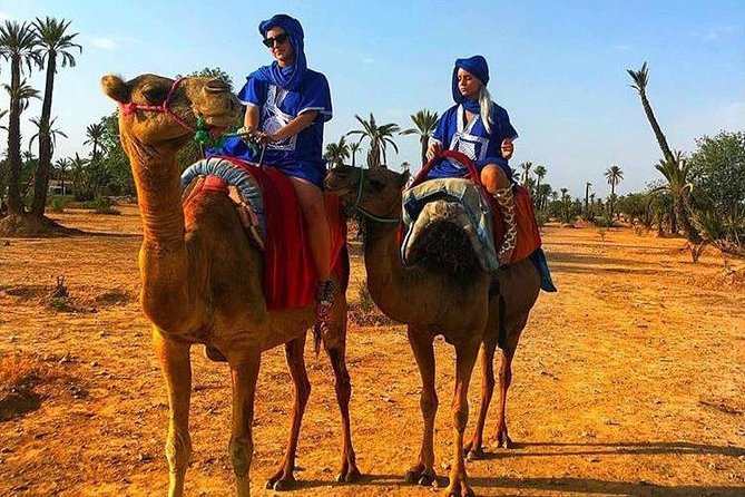 Marrakech Oasis Escape: Camel Ride & Quad Bike Adventure - Pickup and Drop-off Services