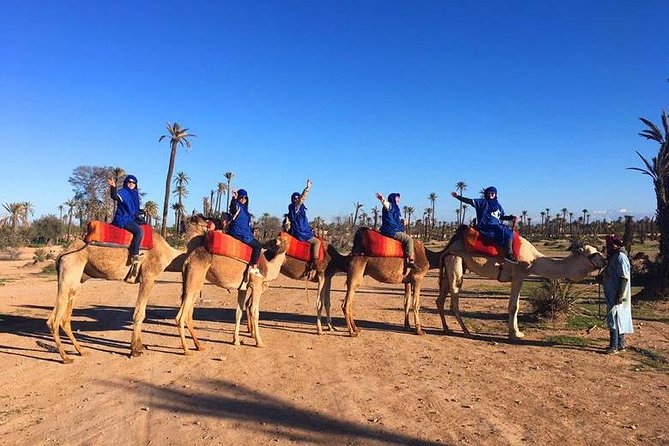 Marrakech Oasis Escape: Camel Ride & Quad Bike Adventure - Accessible and Family-friendly