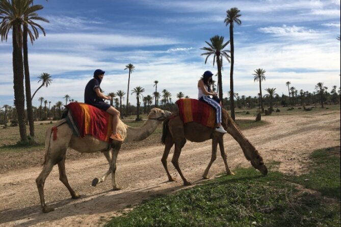 Marrakech Oasis Escape: Camel Ride & Quad Bike Adventure - Adventure Reviews and Ratings