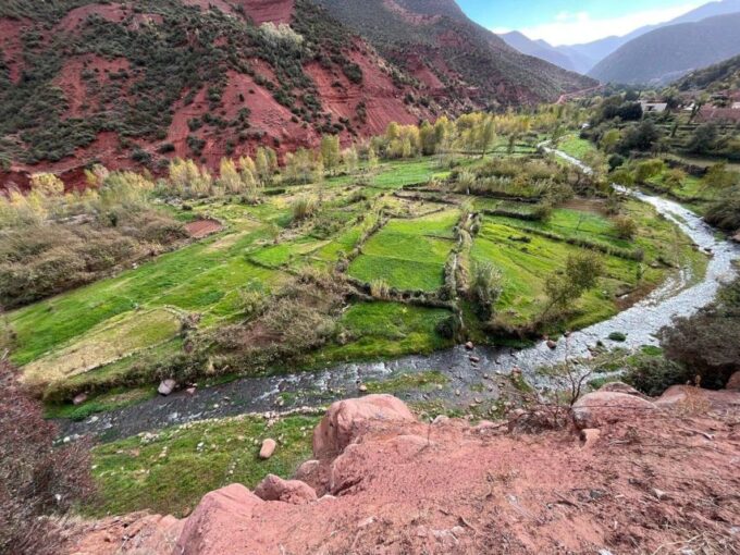 Marrakech: Ourika Valley, Atlas Mountain, Waterfalls & Guide - Cultural Experiences and Insights
