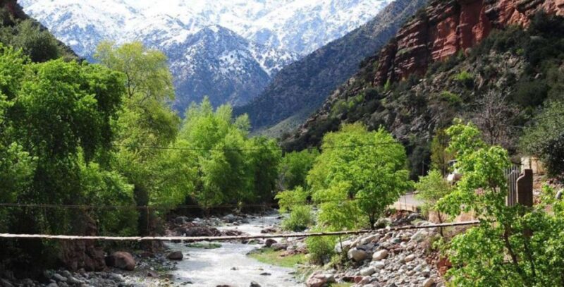 Marrakech: Ourika Valley, Atlas Mountain, Waterfalls & Guide - Key Points