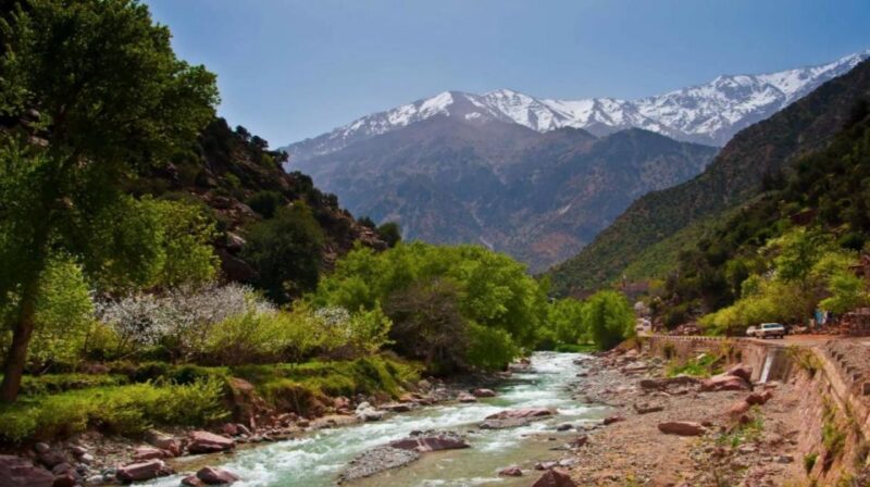 Marrakech: Ourika Valley, Atlas Mountain, Waterfalls & Guide - Experience and Activities