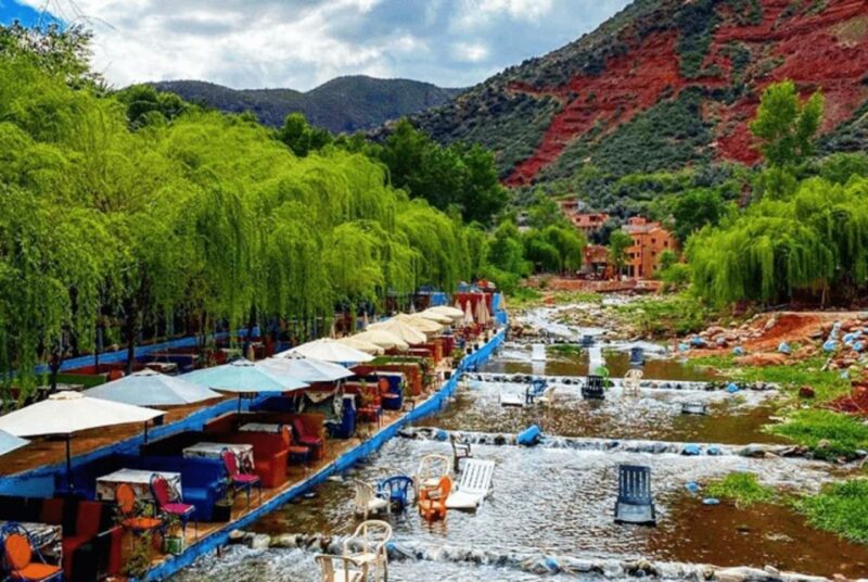 Marrakech: Ourika Valley, Atlas Mountain, Waterfalls & Guide - Transportation and Guide