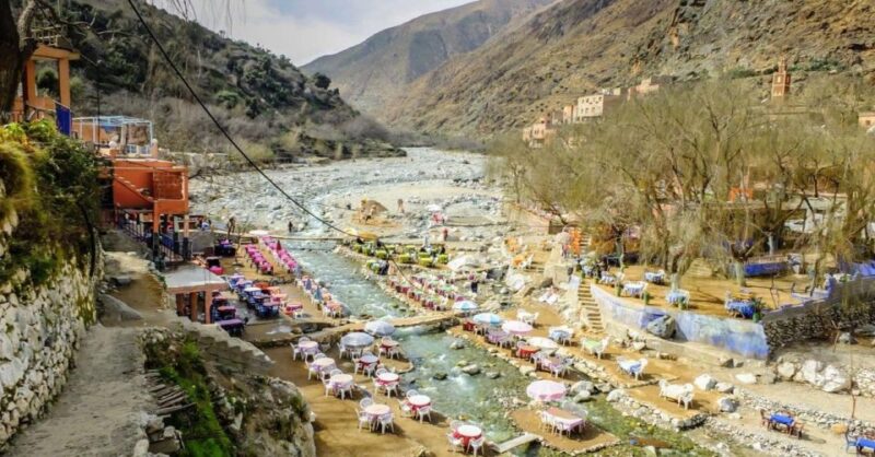 Marrakech: Ourika Valley, Atlas Mountain, Waterfalls & Guide - Customer Reviews and Feedback
