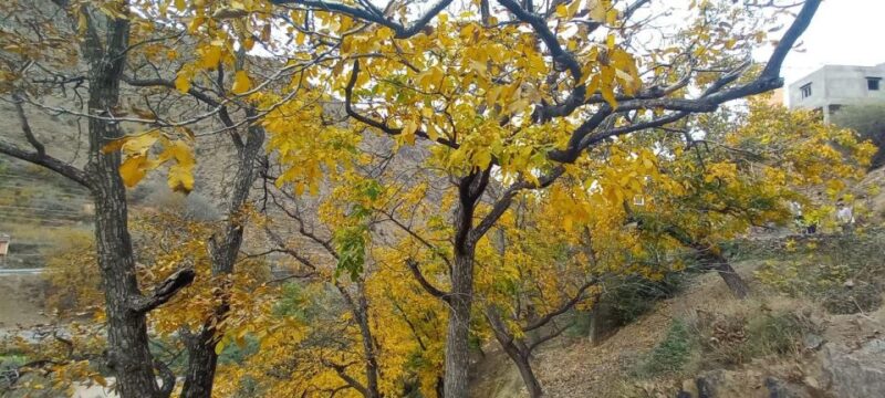 Marrakech: Ourika Valley, Atlas Mountains, Waterfall & Lunch - Inclusions and Additional Fees