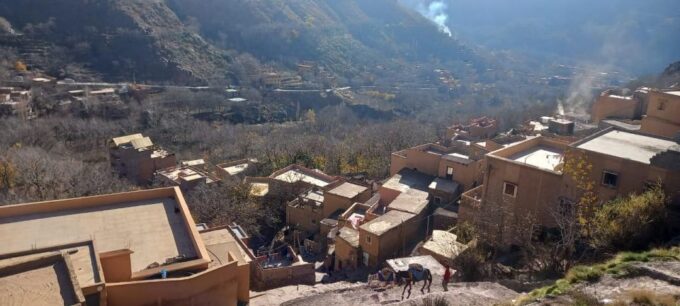 Marrakech: Ourika Valley, Atlas Mountains, Waterfall & Lunch - Customer Reviews