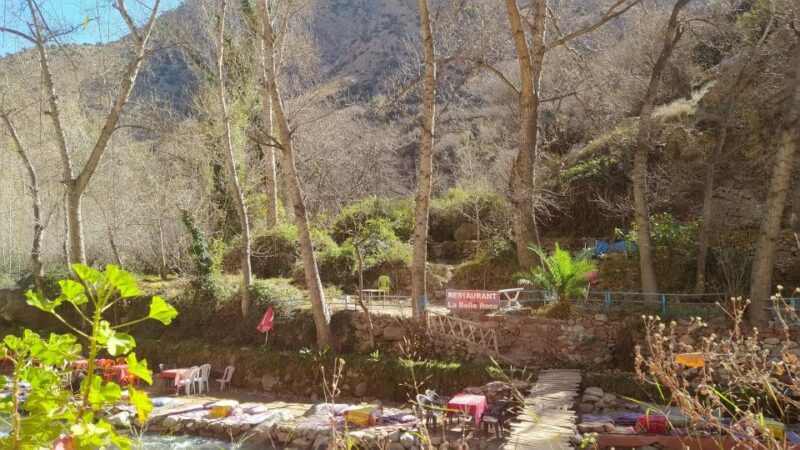 Marrakech: Ourika Valley, Berber Villages, Waterfall - Scenic Attractions