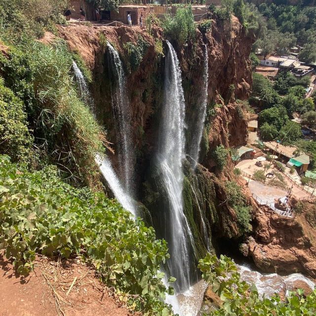 Marrakech: Ouzoud Waterfalls Day Trip With Guide & Boat Ride - Customer Feedback