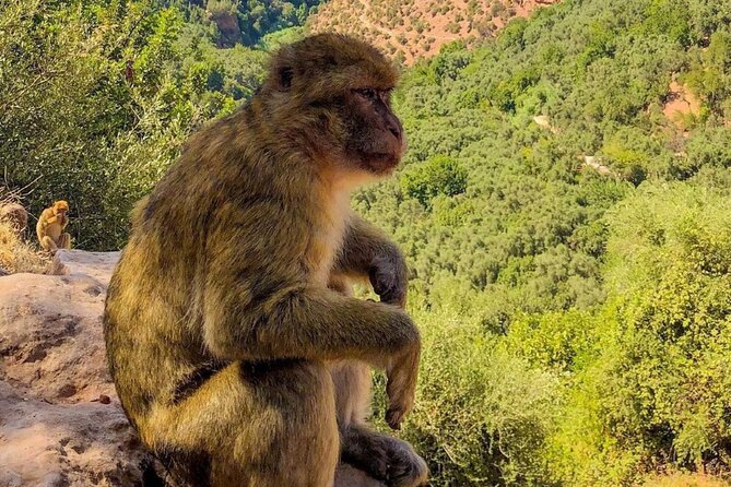 Marrakech : Ouzoud Waterfalls, Guided MountainTour & Boat Ride - Breathtaking Waterfalls