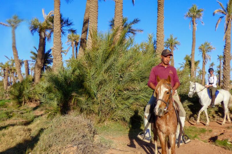 Marrakech: Palm Grove Horseback Riding Tour - Key Points