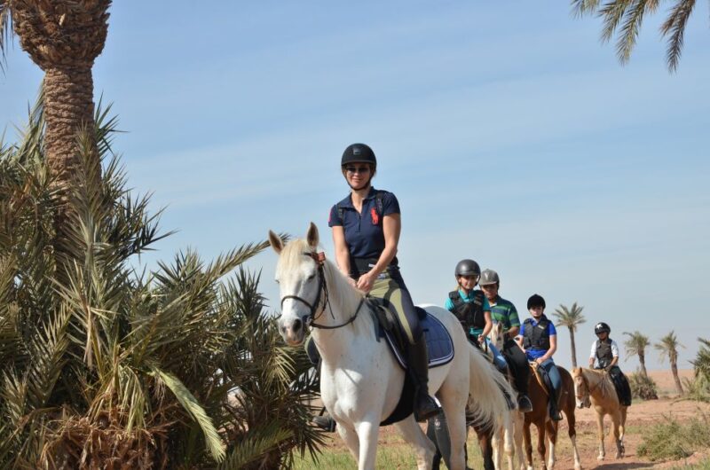 Marrakech: Palm Grove Horseback Riding Tour - Experience and Itinerary