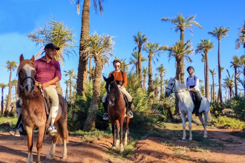 Marrakech: Palm Grove Horseback Riding Tour - Inclusions