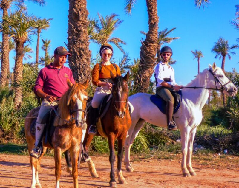 Marrakech: Palm Grove Horseback Riding Tour - Participant Information