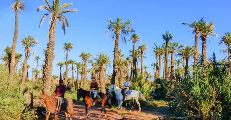 Marrakech: Palm Grove Horseback Riding Tour - Customer Reviews and Ratings