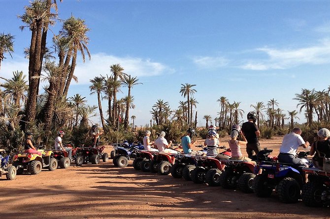 Marrakech Palm Oasis and Desert Quad Bike Adventure - Quad Bike Adventure Highlights