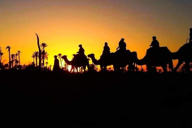 Marrakech Palmeraie: Camel Ride at Sunset - Inclusions
