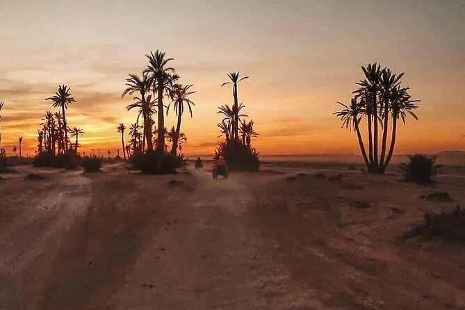 Marrakech Palmeraie: Camel Ride at Sunset - Reviews and Ratings