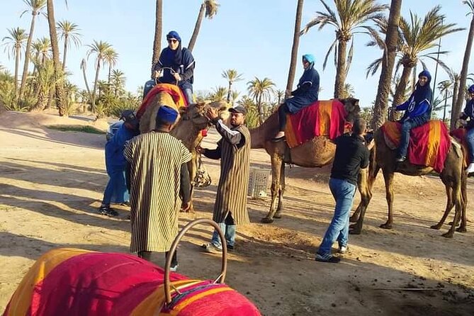 Marrakech Palmeraie: Camel Ride at Sunset - Exploring Marrakech Palmeraie