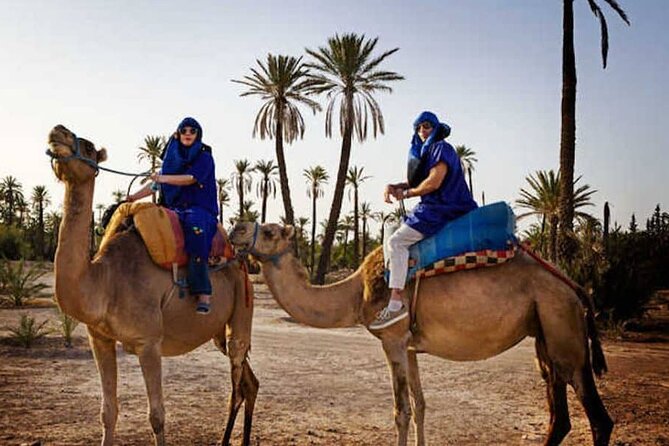 Marrakech Palmeraie: Camel Ride at Sunset - Desert Tranquility at Sunset