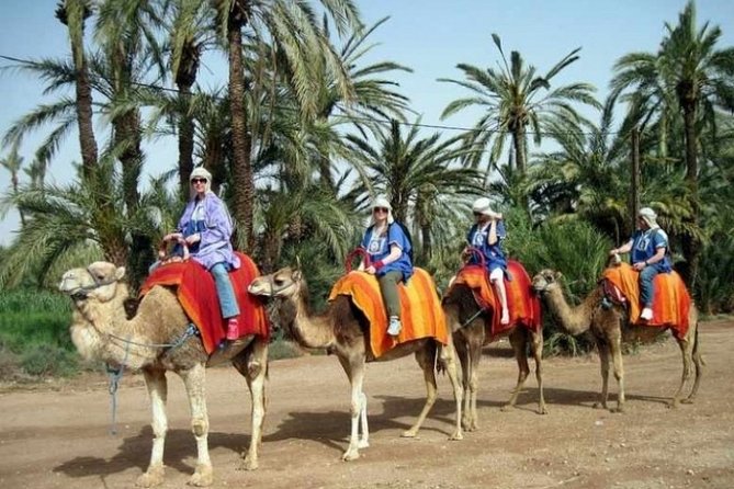 Marrakech Palmeraie: Camel Ride at Sunset - Memorable Camel Ride